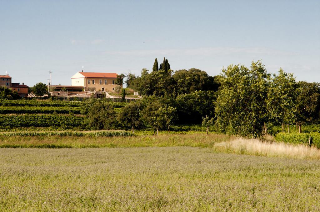 Agriturismo Panorama Salionze Zewnętrze zdjęcie